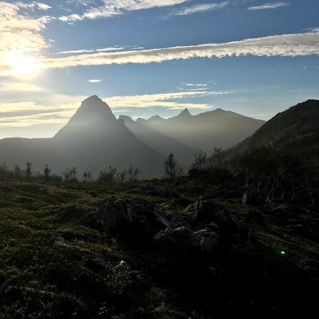 Fjordgård B Leilighet Tofta Eksteriør bilde