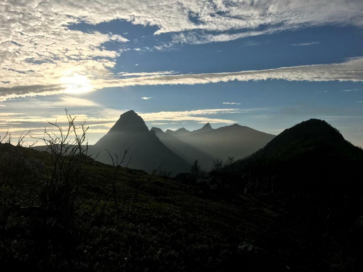 Fjordgård B Leilighet Tofta Eksteriør bilde